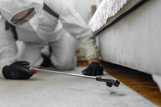 Professional Termite Control technician working in Ravenna, OH