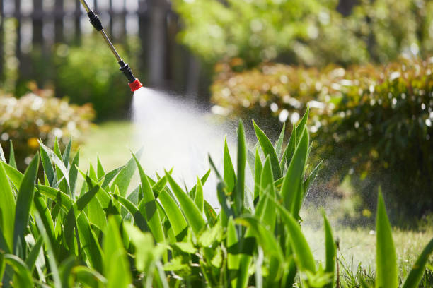24/7 Emergency Termite Control experts in Ravenna, OH